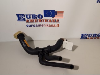 Lower Hose